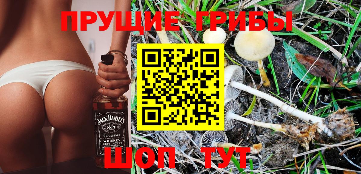 Самара  Галлюциногенные грибы Psilocybe  Псилоцибиновые грибы GOLDEN TEACHER  Вход с VPN 